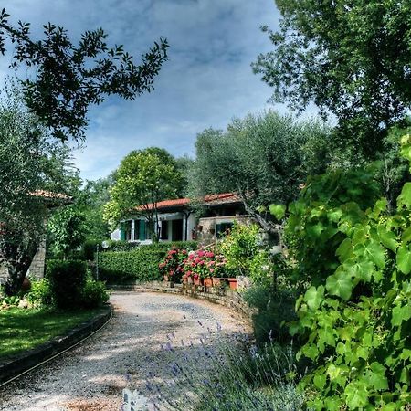 B&B Villa Mirami Saturnia Ngoại thất bức ảnh