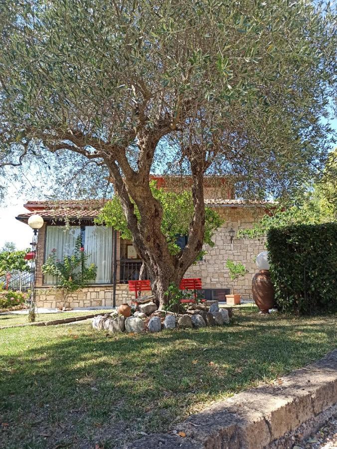 B&B Villa Mirami Saturnia Ngoại thất bức ảnh